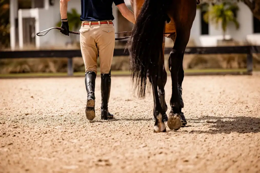 rider leading a horse across an arena surface